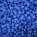 Blu Polvere