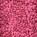 Rosa Rouge