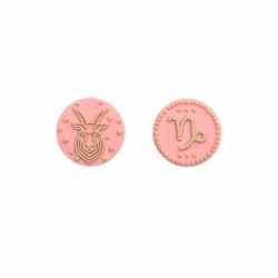 Inserti Segni Zodiacali Femminuccia in Silicone – Artekids