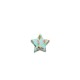 Inserto Stella Piccola Fiorata – Accessorio decorativo creativo ARTEKIDS
