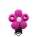 Fucsia