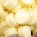Giallo Crema