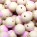 Beige-Baby Rosa