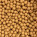 Caramello