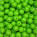 Verde Chiaro