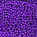 Lavanda